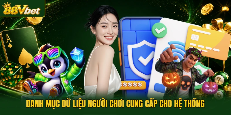 Danh mục dữ liệu người chơi cung cấp cho hệ thống